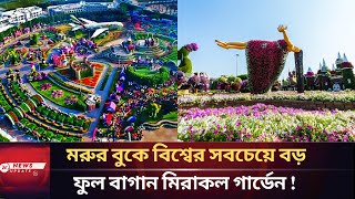 মরুর বুকে বিশ্বের সবচেয়ে বড় ফুল বাগান মিরাকল গার্ডেন | Miracle Garden | Dubai | News Update 24