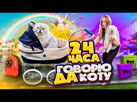 24 ЧАСА ГОВОРЮ ДА КОТУ КЕВИНУ | ПРАНКИ НАД БИЛЬКОЙ