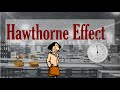 The Hawthorne Effect - Or Why Everything Works