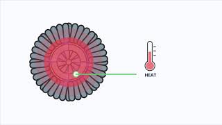 Interstate Batteries Educational Video