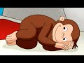 ジョージってどんな動物！？ 🐵 おさるのジョージ