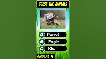 (Animal Quiz) Only a Genius Can Guess All 5 Animals in This Quiz - Can You?