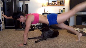 Pushup Bird Dog Crunch
