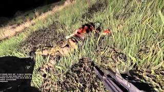 Побегушки с читом CFF-Team на игру ARMA 3