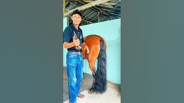 The most peaceful moment ~wood working art skill wood / hand crafts #shorts