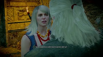 The Witcher III Wild Hunt Part 3 Bleu