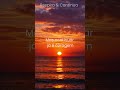 Continuar já é coragem #autocontrole #naodesistir  #motivacional