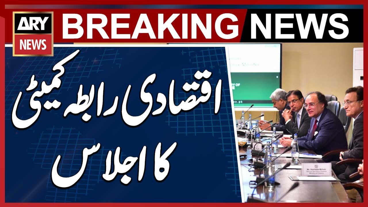 Economic Coordination Committee meeting chaired by FM Muhammad ...