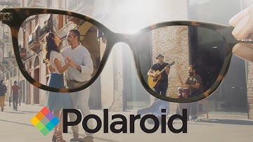 Polaroid Polarised Sunglasses - Selectspecs.com