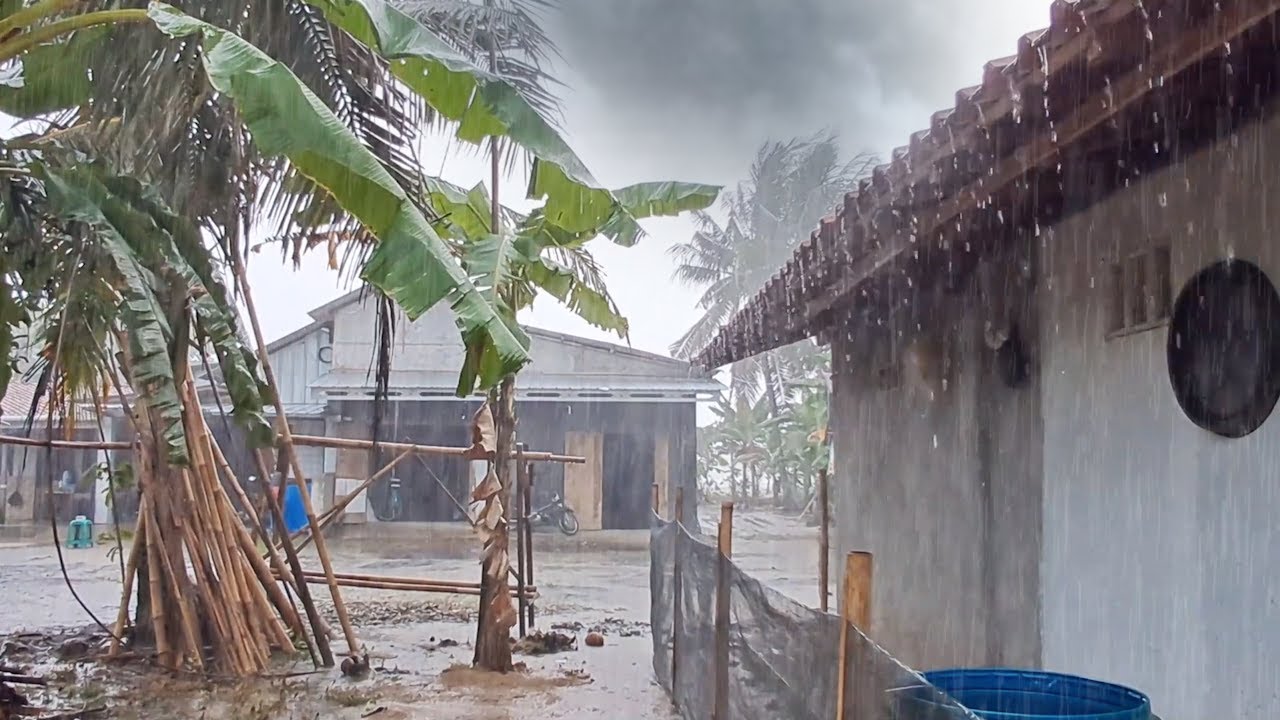 Peaceful Morning Rain Village | Soft Countryside Sounds for Relaxation Focus and Mental Clarity