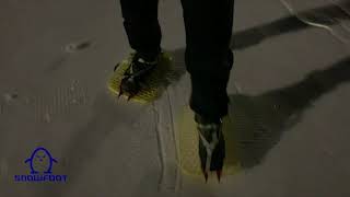 Snowfoot Surfs Up 2019