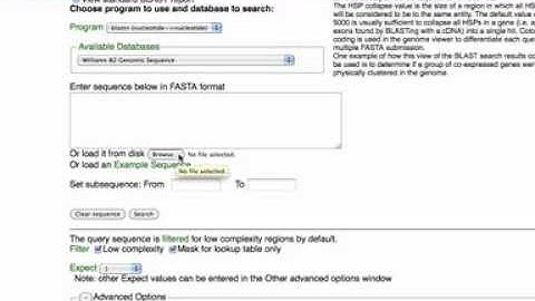Advanced BLAST analysis at SoyBase