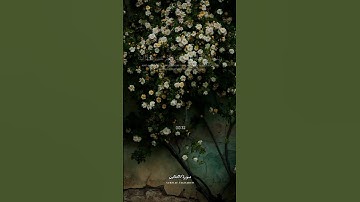 ماتيسر من سورة التغابن ❤️, القرآن الكريم