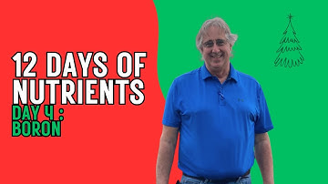 12 Days of Nutrients 2025: Boron - Day 4
