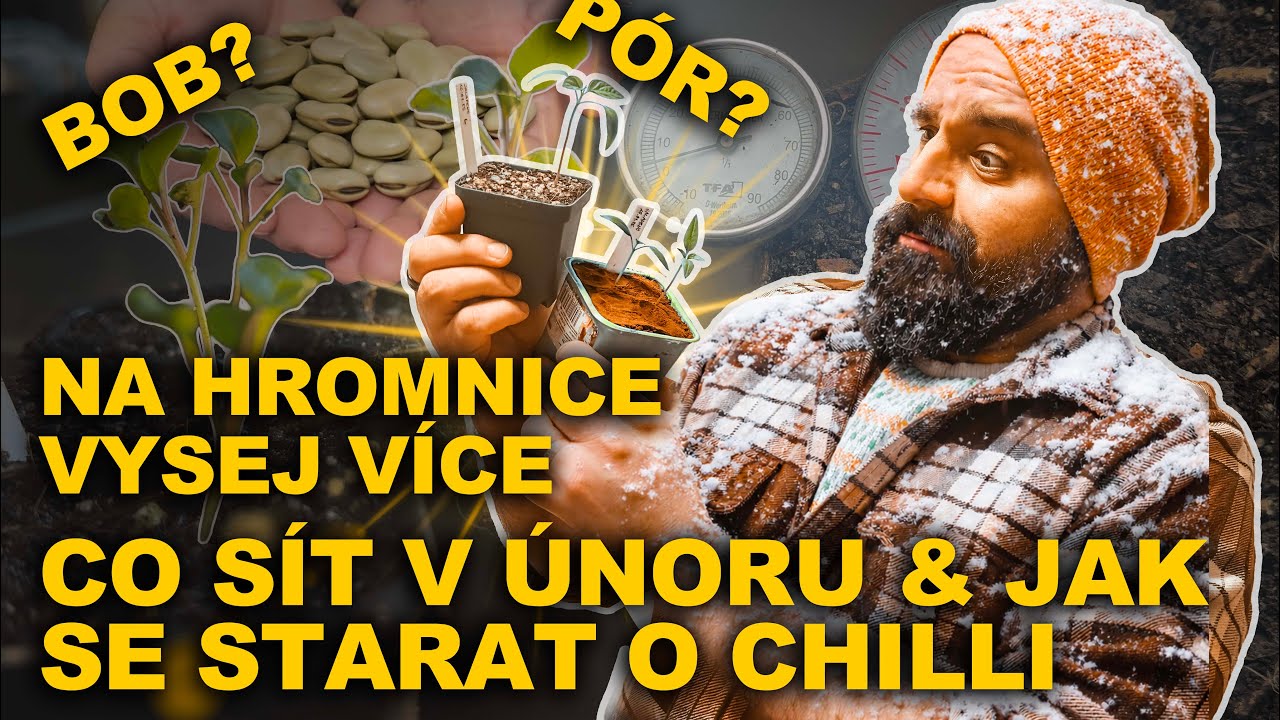 Únorová nadílka I EP.14 - 12 Semen pro únorové setí