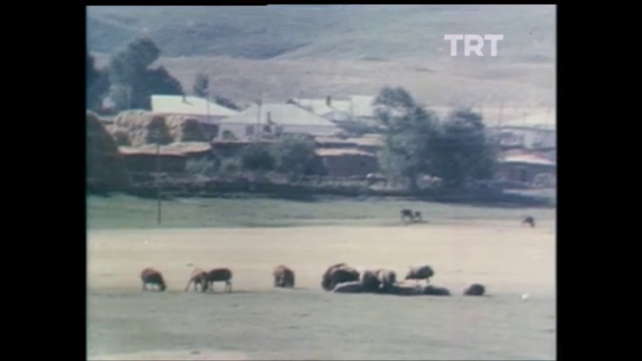 1985'te Çekilen Bingöl Belgeseli (Bingöl merkez ve ilçelerden görüntüler)