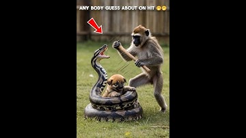 “Monkey Saves Puppy from Giant Snake in Seconds!”