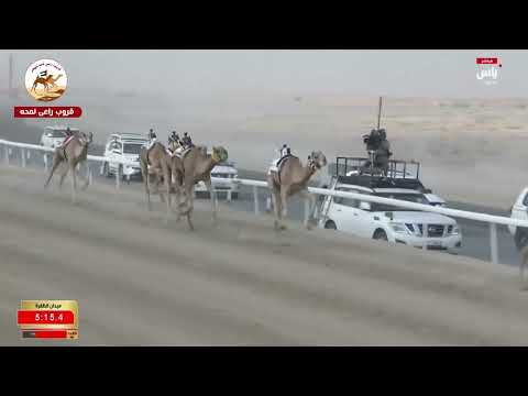 ش6 بندقية الايذاع محليات انتاج السريع ل سعادة محمد سلطان بن مرخان 7 31 23 مهرجان الظفرة 2025