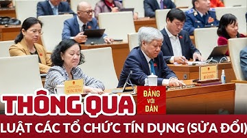 Quốc hội biểu quyết thông qua Luật các tổ chức tín dụng (Sửa đổi) | Đảng với Dân