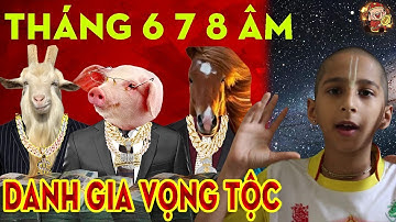 TIẾT LỘ THIÊN CƠ THÁNG 6 7 8 Giúp 3 Con Giáp 100% Gặp Thời Đổi Vận Xóa Sạch Nợ Nần Phất Như Vũ Bão.