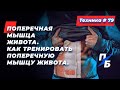 Поперечная мышца живота. Как тренировать поперечную мышцу живота