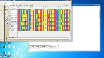 Building phylogenetic trees on Mesquite