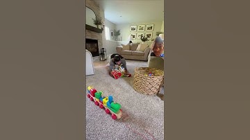 When your baby take a nap le you:🚀🤣 #funny #explore #trending #shortsfeed #viralshort
