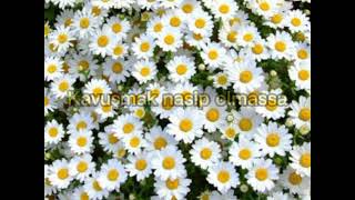 Whatsapp Statusları Rüzgar