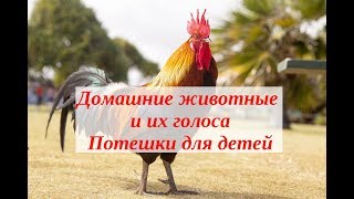 Развивающее видео для детей. Домашние животные и их голоса. Кто заботится о нас. Потешки для детей. Развивающее видео для детей. Домашние животные и их голоса. Кто заботится о нас. Потешки для детей.