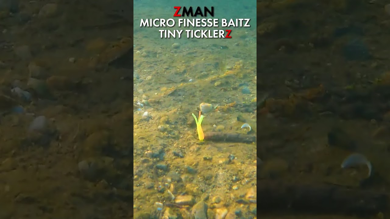 Testing the 5 Styles of Z-Man Micro Finesse BaitZ 
