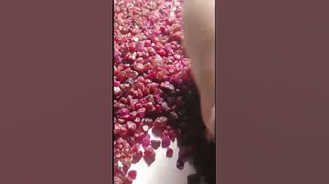 The world most expensive Ruby in Afghanistan #shorts #viral #youtubeshorts #live #artvideo #gemstone