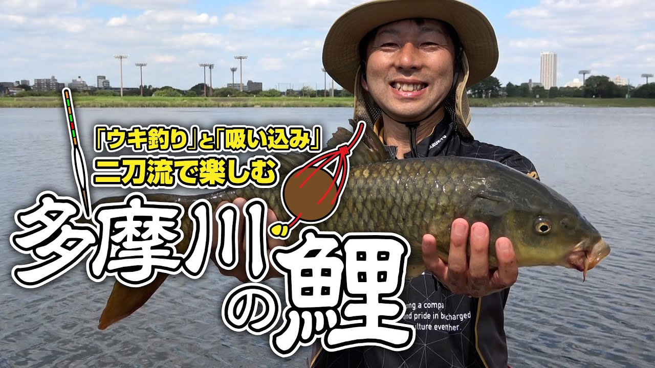 「ウキ釣り」と「吸い込み」二刀流で楽しむ多摩川の鯉