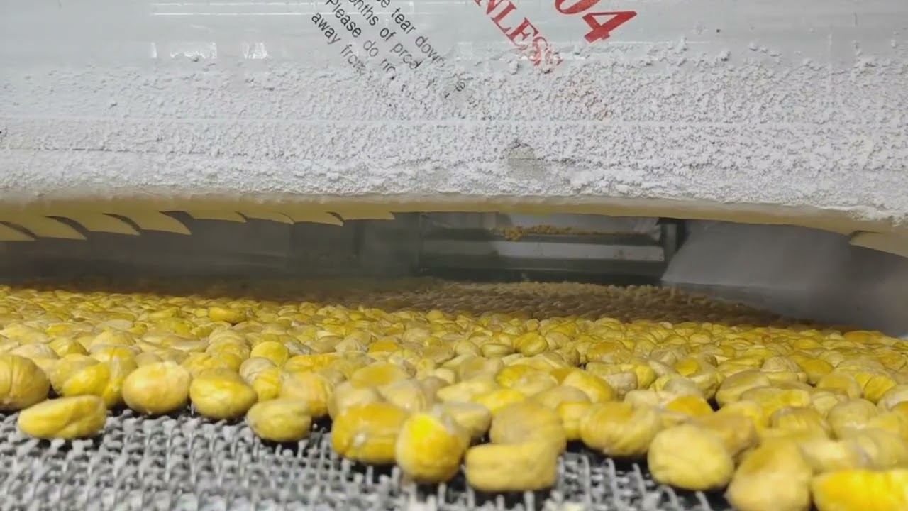 Fluidized quick-freezing machine quick-freezing chestnuts, products jump forward to prevent adhesion