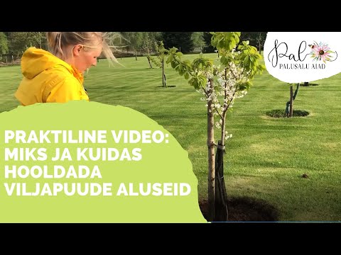 Video: Kuidas Aia Hooldamist Lihtsamaks Muuta?