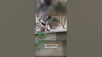 From Decks to Design   Our Company