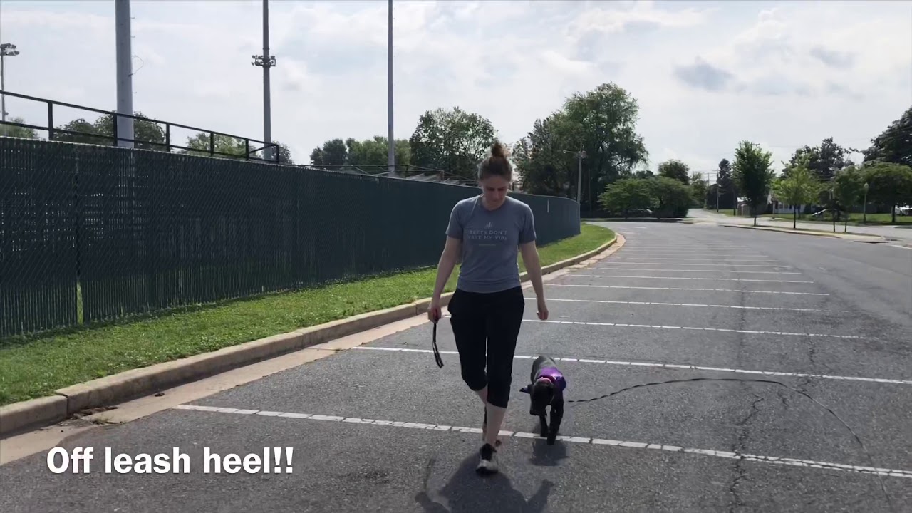 Lu go home session! - YouTube
