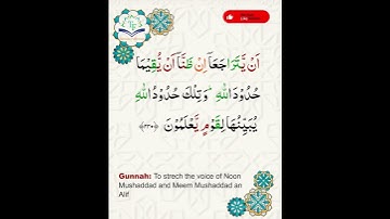 سورة البقرة الآيات ۲۳۰ | تلاوة خاشعة بصوت الشيخ ياسر الدوسري مع التجويد