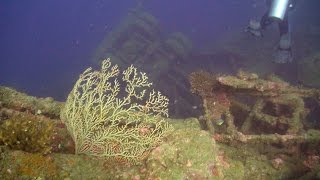 Scuba Diving Million Dollar Point, Vanuatu (HD)