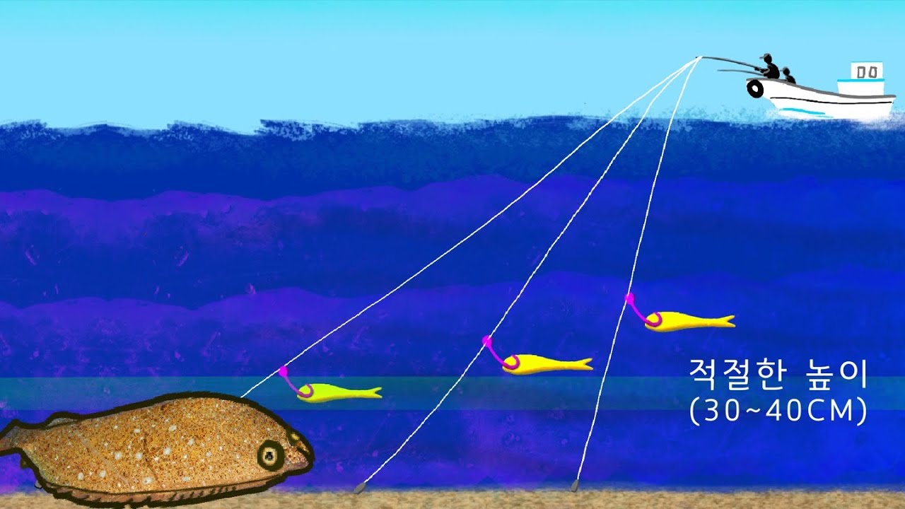 광어다운샷 채비 선택 방법과 운용 방법 (단차와 조류의 관계)