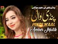 Pindi wal official  amber malik  tp gold