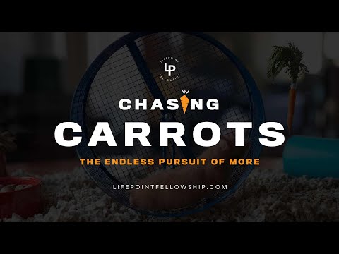 Chasing Carrots, Part 4   Approval of Other People