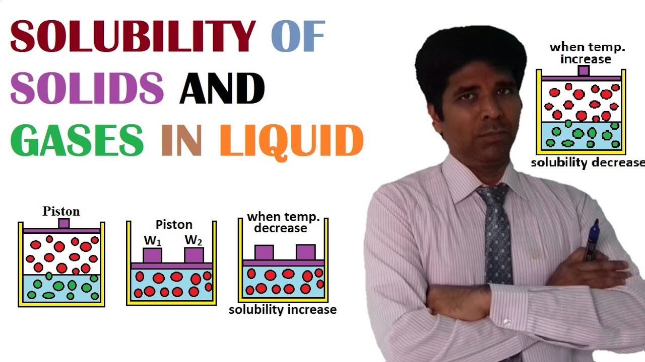 SOLUBILITY OF SOLIDS SOLUTE AND GASEOUS SOLUTE IN LIQUID SOLVENT ...