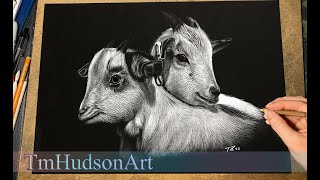 White charcoal on black paper tutorial  drawing a realistic goat