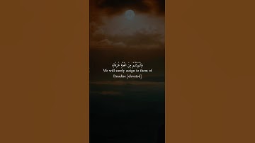 اكتب شيء تؤجر عليه ❤️😴| تلاوة هادئة وجميلة  جدا _قران كريم_القارئ عبد الرحمن مسعد