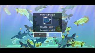 Fishing Life Game | My Epic Aquarium screenshot 5