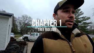 Arborist study guide Chapter 1 - Tree Biology