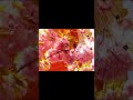 N3yron - Split Into Fragments (тгк:n3yron1) #dnb #jungle #atmosphere #music #electronicmusic