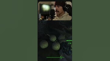 It was in fact something to be worried about.. #shorts #fallout #fallout4