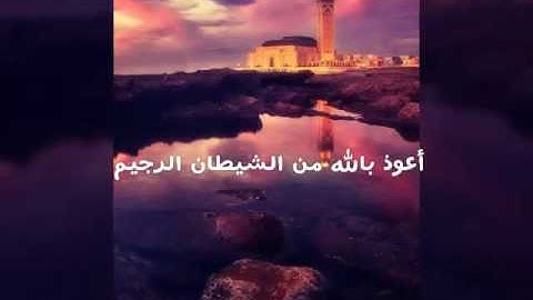 《أفلا ينظرون إلا إبل كيف خلقت》سورة الغاشية ..التأمل في خلق الله.