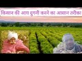 किसान की आय दुगनी करने का आसान तरीका #vegetable#plant#villagelife #viral video